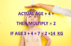 Age Calculator